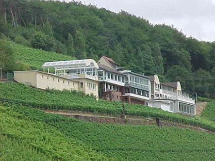 Panorama Hotel Und Restaurant Schlossberg Альценау Экстерьер фото